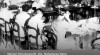 Foto Menteri Pertahanan RI, Drs. Mohammad Hatta mengadakan rapat perundingan pertama bersama staf militer di Gedung Agung, Yogyakarta. 28 Februari 1948.