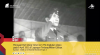 Cuplikn layar Presiden Sukarno menghadiri Perayaan Hari Ulang Tahun ke-5 TNI Angkatan Udara Pada 9 April 1951 di Lapangan Terbang Militer Cililitan. 9 April 1951